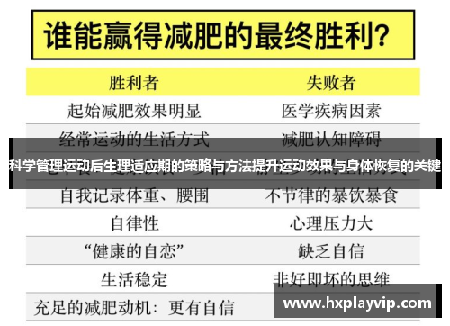 科学管理运动后生理适应期的策略与方法提升运动效果与身体恢复的关键